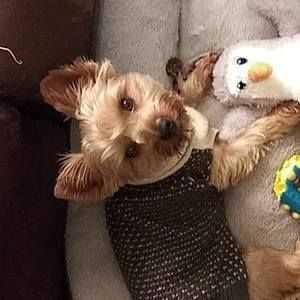 Meet your Posher, Nat